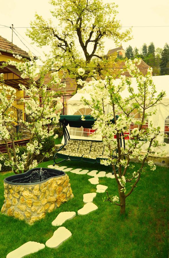 Hotel Venesis House Sighișoara Zewnętrze zdjęcie
